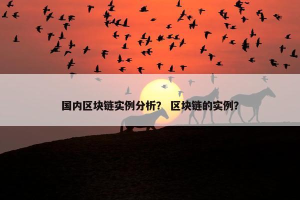 国内区块链实例分析？ 区块链的实例？