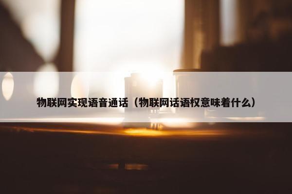 物联网实现语音通话（物联网话语权意味着什么）