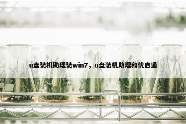 u盘装机助理装win7,u盘装机助理和优启通
