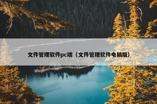 文件管理软件pc端(文件管理软件电脑版)