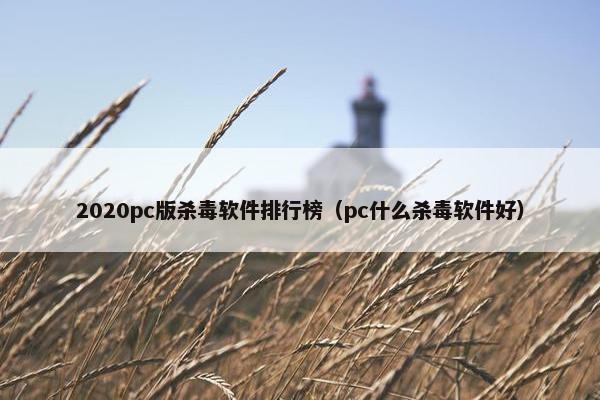 2020pc版杀毒软件排行榜(pc什么杀毒软件好)