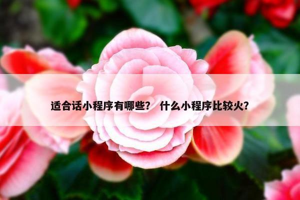 适合话小程序有哪些？ 什么小程序比较火？