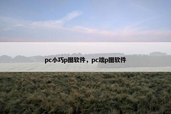 pc小巧p图软件,pc端p图软件