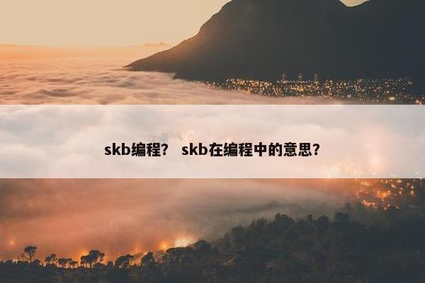 skb编程? skb在编程中的意思?