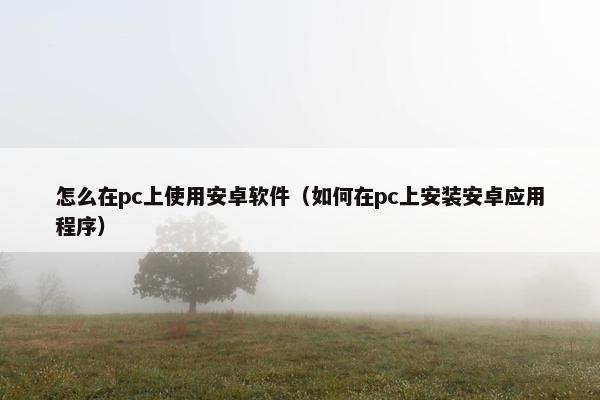 怎么在pc上使用安卓软件(如何在pc上安装安卓应用程序)