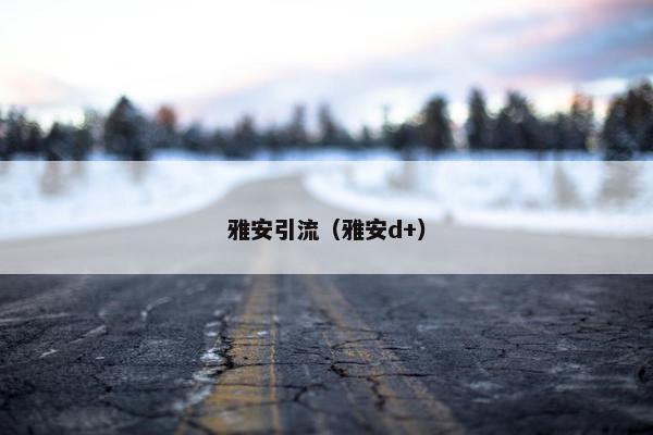 雅安引流（雅安d+）