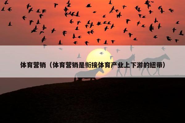 体育营销（体育营销是衔接体育产业上下游的纽带）