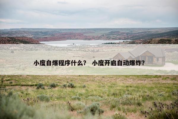 小度自爆程序什么? 小度开启自动爆炸? 小度自爆程序什么? 小度开启自动爆炸?
