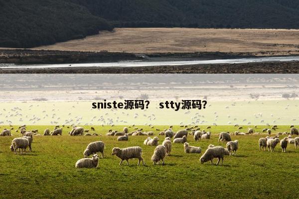 sniste源码？ stty源码？