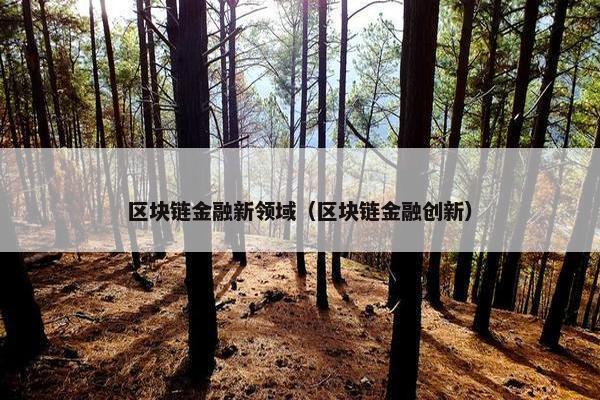 区块链金融新领域(区块链金融创新)