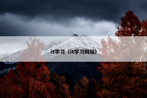 it学习（it学习网站）
