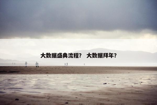 大数据盛典流程? 大数据拜年?