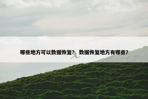 哪些地方可以数据恢复? 数据恢复地方有哪些?