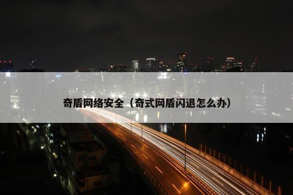 奇盾网络安全(奇式网盾闪退怎么办)