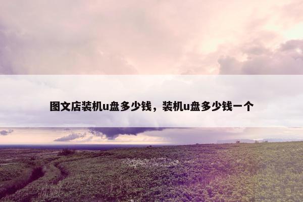 图文店装机u盘多少钱,装机u盘多少钱一个
