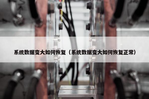 系统数据变大如何恢复(系统数据变大如何恢复正常)