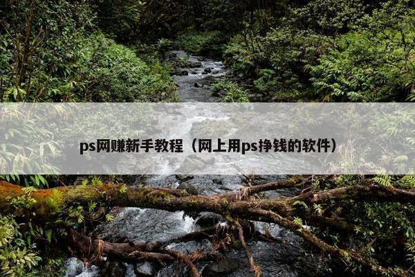 ps网赚新手教程(网上用ps挣钱的软件) ps网赚新手教程(网上用ps挣钱的软件)