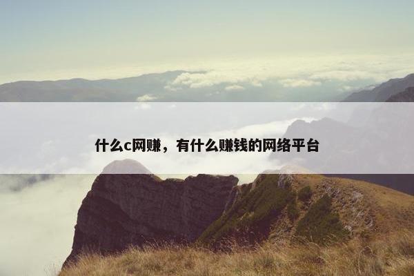 什么c网赚，有什么赚钱的网络平台