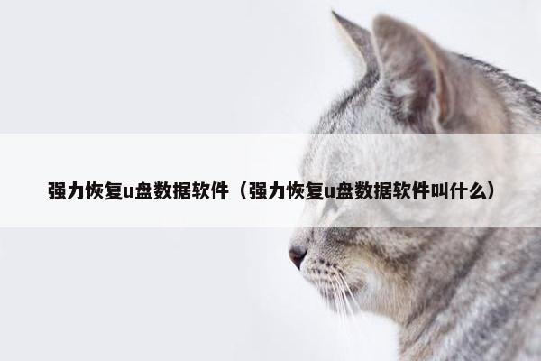 强力恢复u盘数据软件(强力恢复u盘数据软件叫什么)