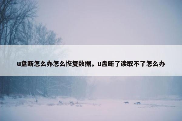 u盘断怎么办怎么恢复数据,u盘断了读取不了怎么办