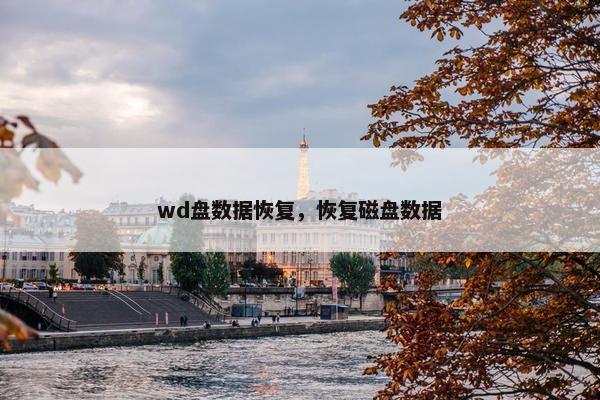 wd盘数据恢复，恢复磁盘数据