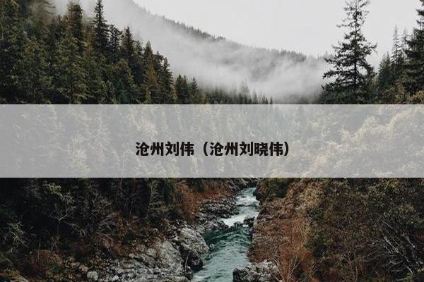 沧州刘伟(沧州刘晓伟)