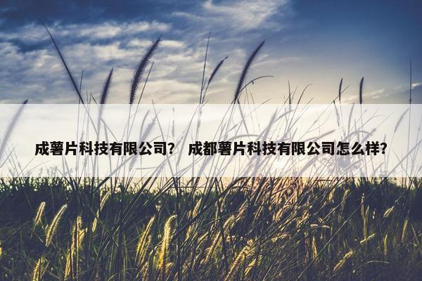 成薯片科技有限公司？ 成都薯片科技有限公司怎么样？