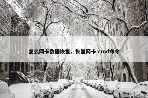 怎么网卡数据恢复，恢复网卡 cmd命令
