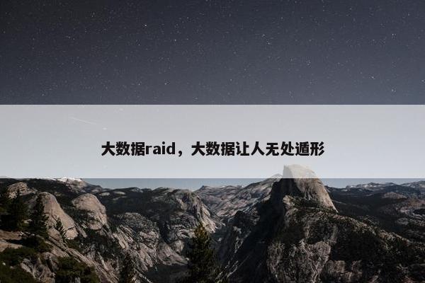 大数据raid,大数据让人无处遁形