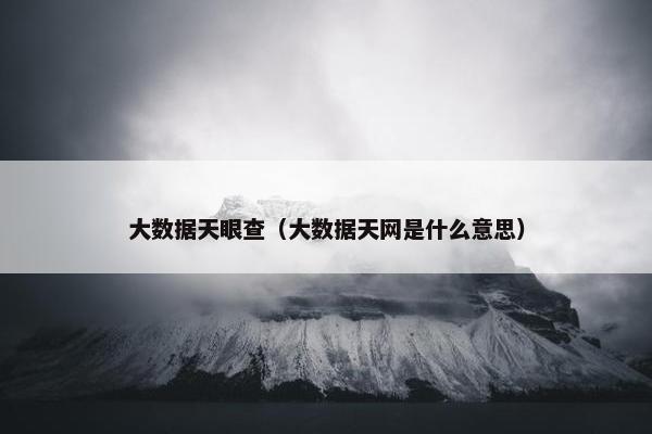 大数据天眼查(大数据天网是什么意思)