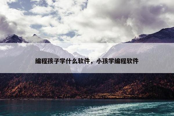 编程孩子学什么软件,小孩学编程软件