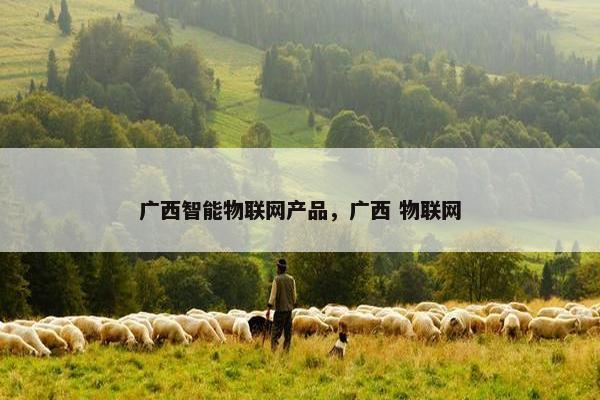 广西智能物联网产品,广西 物联网 广西智能物联网产品,广西 物联网