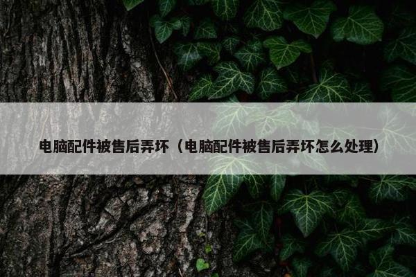 电脑配件被售后弄坏(电脑配件被售后弄坏怎么处理) 电脑配件被售后弄坏(电脑配件被售后弄坏怎么处理)