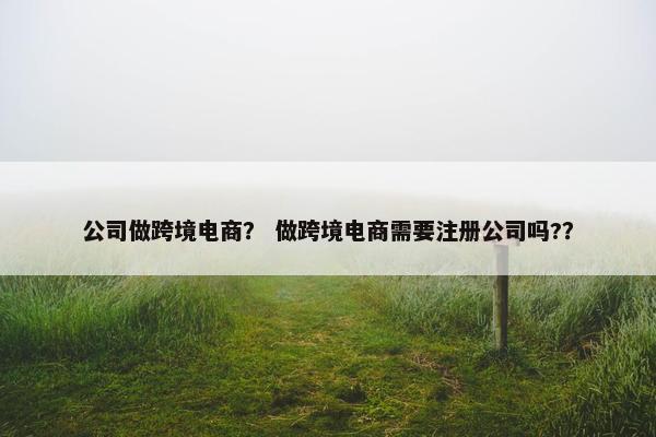 公司做跨境电商? 做跨境电商需要注册公司吗??
