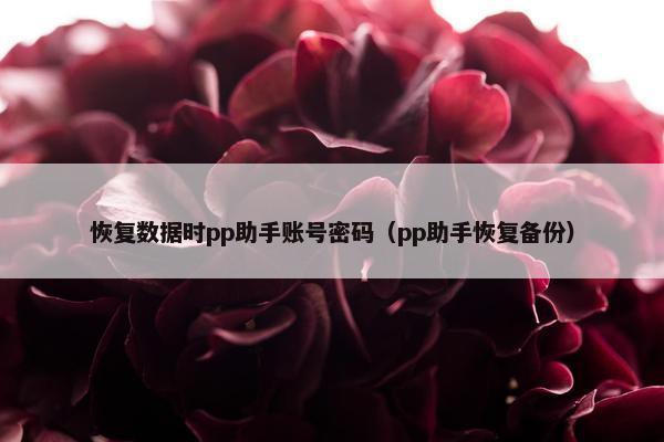 恢复数据时pp助手账号密码(pp助手恢复备份) 恢复数据时pp助手账号密码(pp助手恢复备份)