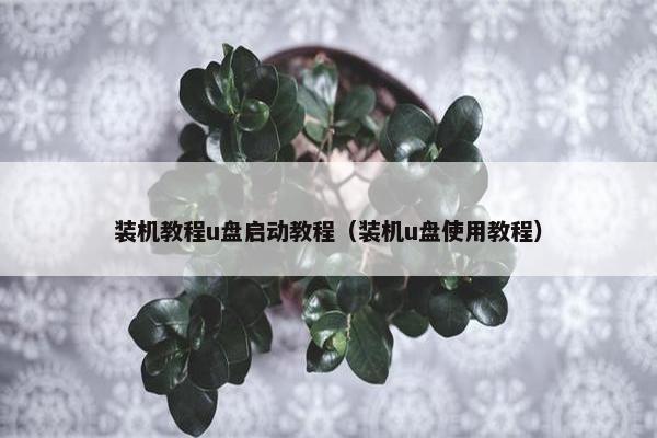 装机教程u盘启动教程(装机u盘使用教程)