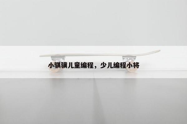 小骐骥儿童编程,少儿编程小将