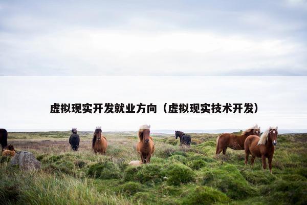 虚拟现实开发就业方向(虚拟现实技术开发)