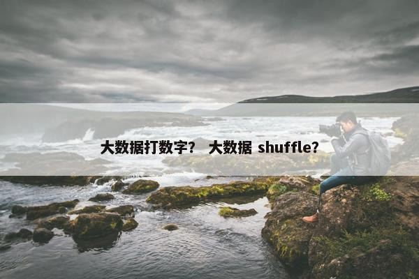大数据打数字? 大数据 shuffle?