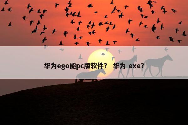 华为ego能pc版软件? 华为 exe? 华为ego能pc版软件? 华为 exe?