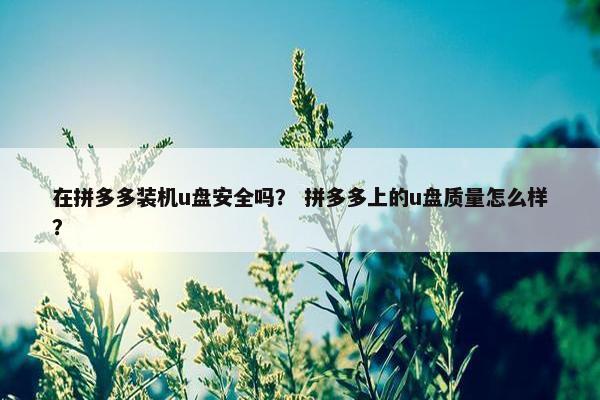 在拼多多装机u盘安全吗? 拼多多上的u盘质量怎么样?
