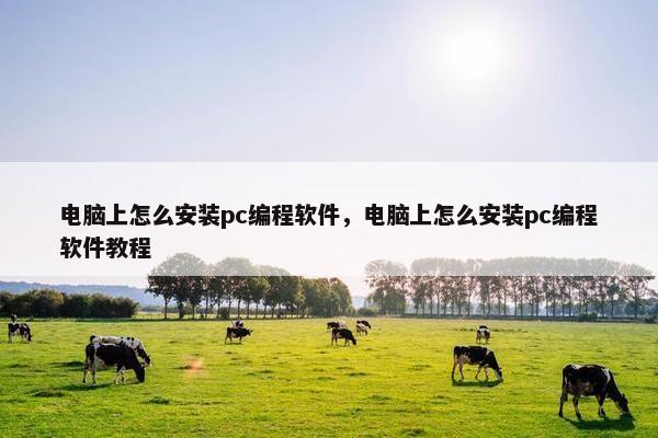 电脑上怎么安装pc编程软件,电脑上怎么安装pc编程软件教程