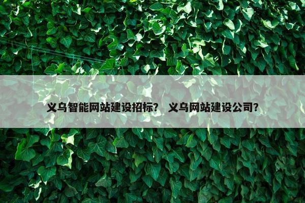 义乌智能网站建设招标? 义乌网站建设公司? 义乌智能网站建设招标? 义乌网站建设公司?