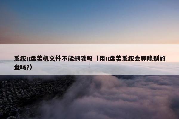 系统u盘装机文件不能删除吗(用u盘装系统会删除别的盘吗?)