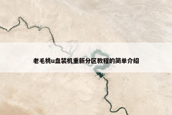 老毛桃u盘装机重新分区教程的简单介绍