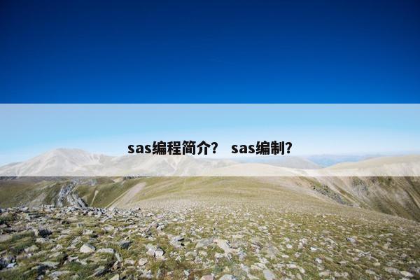 sas编程简介? sas编制?
