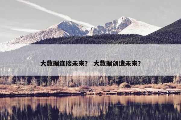 大数据连接未来? 大数据创造未来?