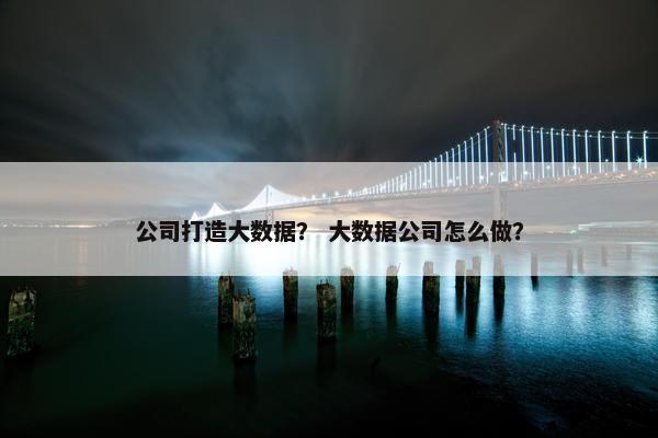 公司打造大数据? 大数据公司怎么做?