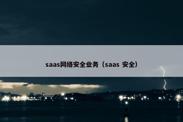 saas网络安全业务(saas 安全)