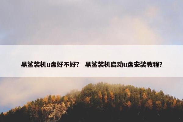 黑鲨装机u盘好不好? 黑鲨装机启动u盘安装教程?